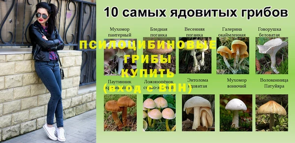 марки lsd Пролетарск